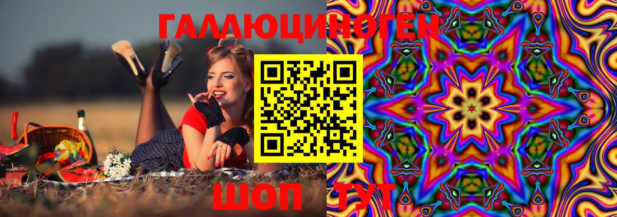 Кудрово  Галлюциногенные грибы прущие грибы  Вход с VPN 