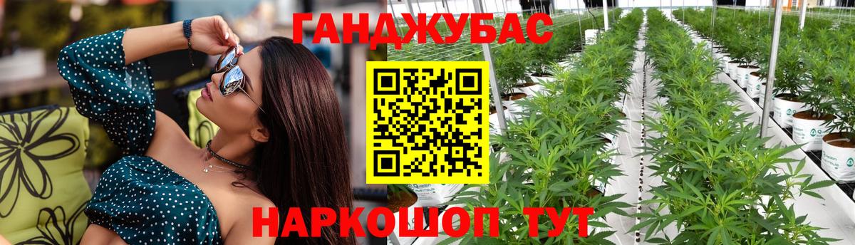 Каннабис конопля  Марихуана планчик  Кудрово  Вход с VPN  МАРИХУАНА LSD WEED 